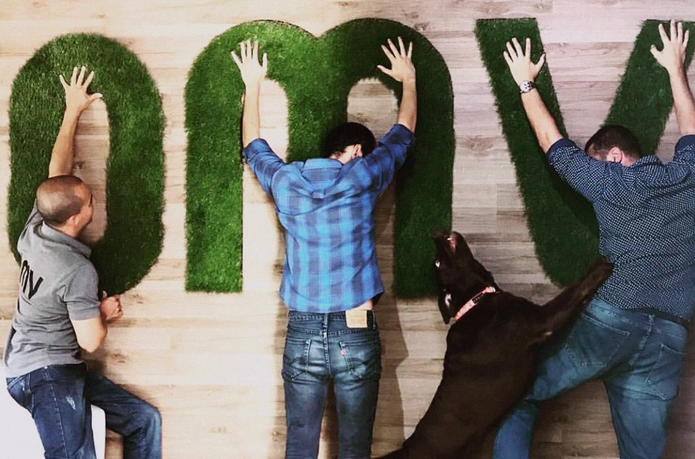 Pasto Sintético en Muro OMV