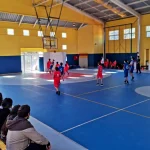 Vinílico Sport Acoustic PLUS Gimnasio Colegio Las Condes, OMV